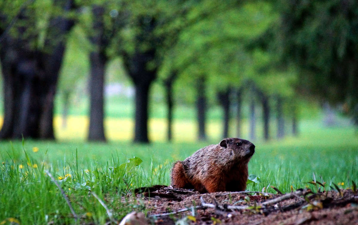 ������� ����� �������  �� PhotoGeek.ru #�������� ��� #������ ��� �������