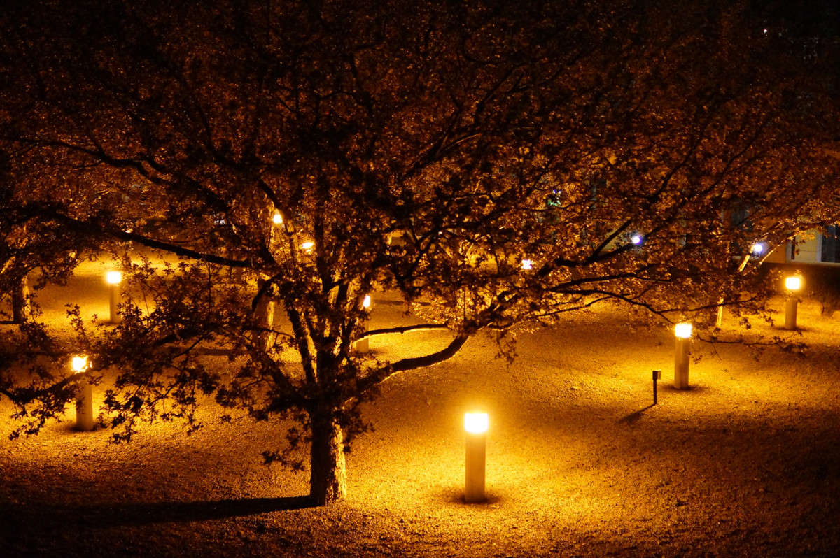 �������� ����� �������  �� PhotoGeek.ru #�����