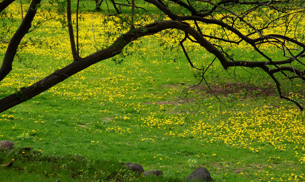 ����������� ������ ����� �������  �� PhotoGeek.ru #������ ��� �������