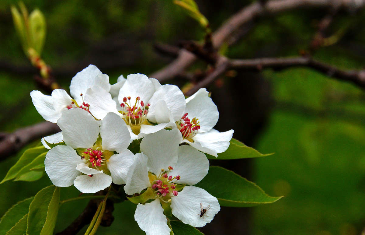 ������� ���������� ����� �������  �� PhotoGeek.ru #������ ��� �������