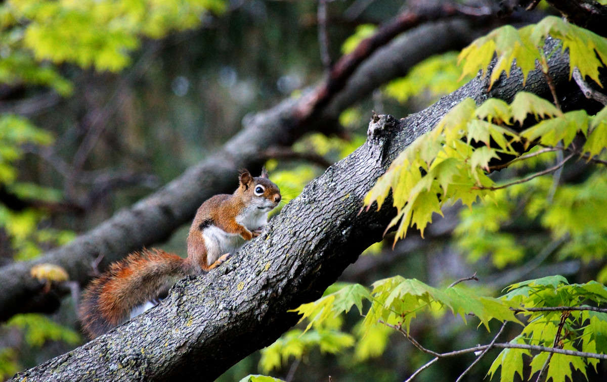 ����� ��� ��� ���� ����� ����� �������  �� PhotoGeek.ru #�������� ���