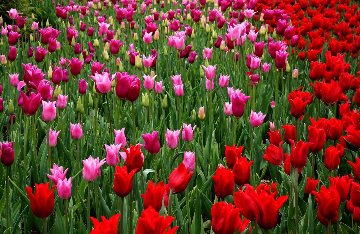 ������ �������� ����� �������  �� PhotoGeek.ru #�����