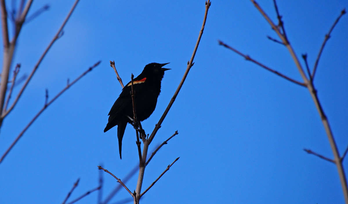 ����������� ������� ����� �������  �� PhotoGeek.ru #�������� ���