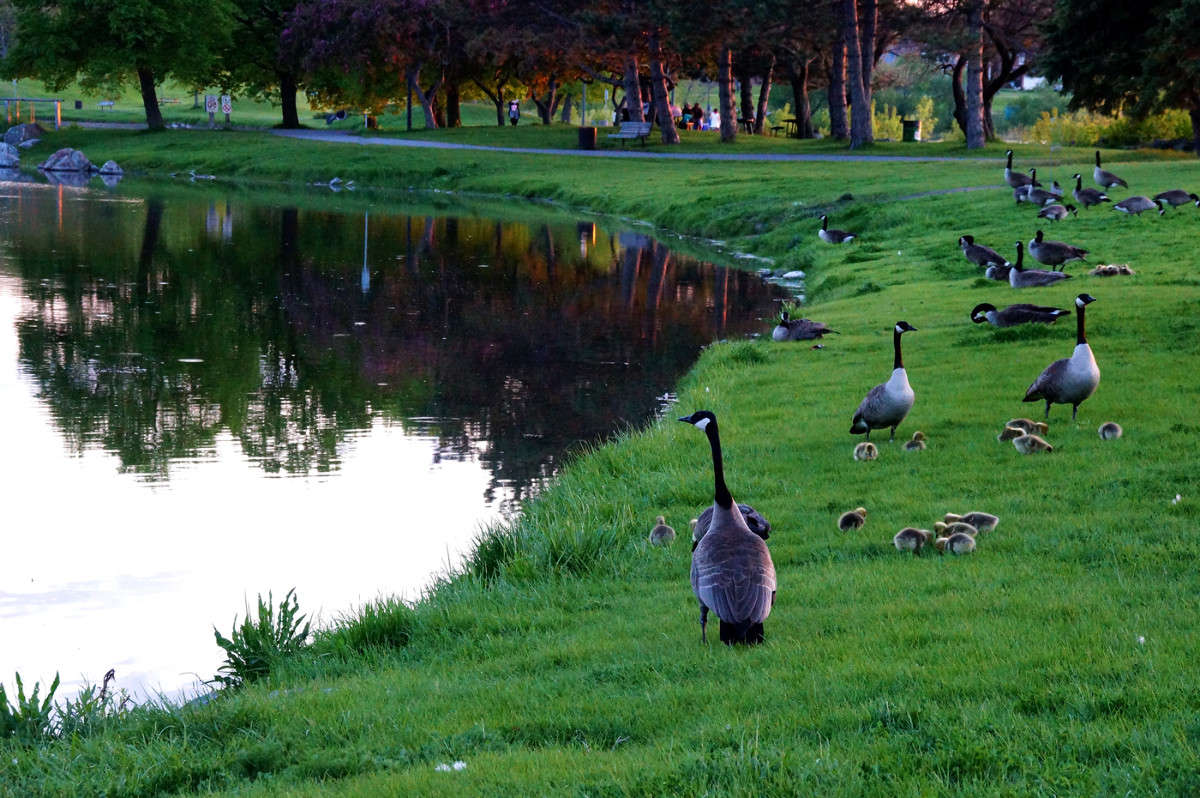 ��� ��� ���� ������ �����? ����� �������  �� PhotoGeek.ru #�������� ���