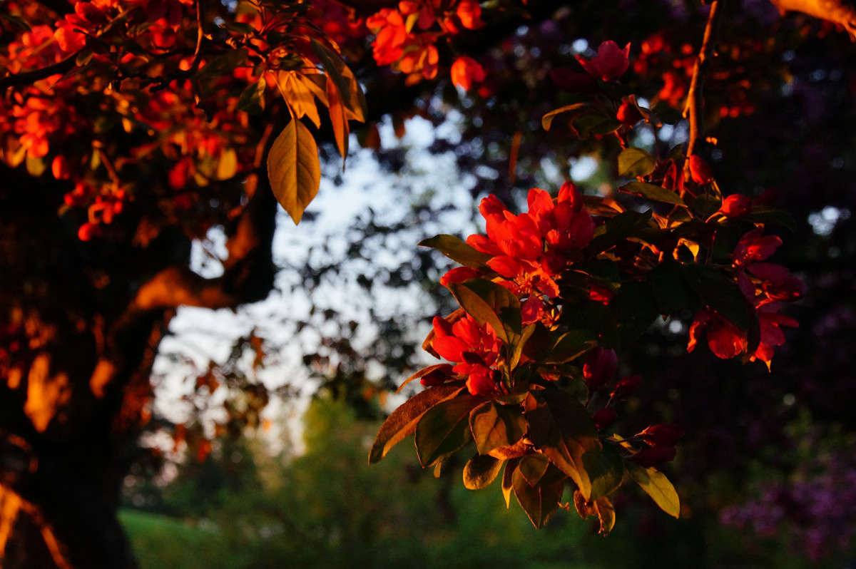 ������ �������� ����� �������  �� PhotoGeek.ru #������ ��� �������
