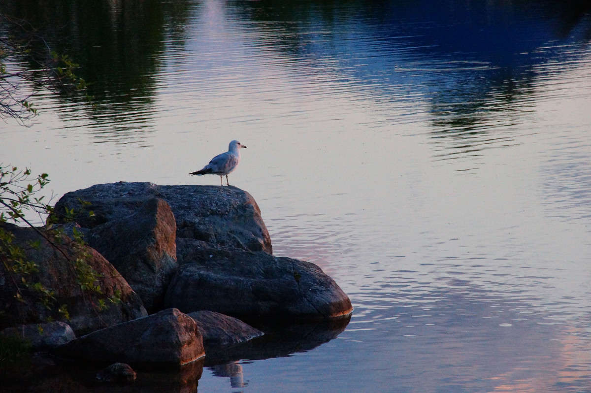 ����� �� ����? ����� �������  �� PhotoGeek.ru #�������� ���