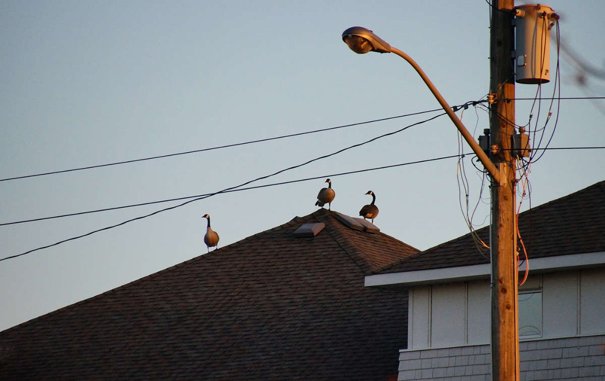 ���� ���� ����� �������  �� PhotoGeek.ru #�������� ���