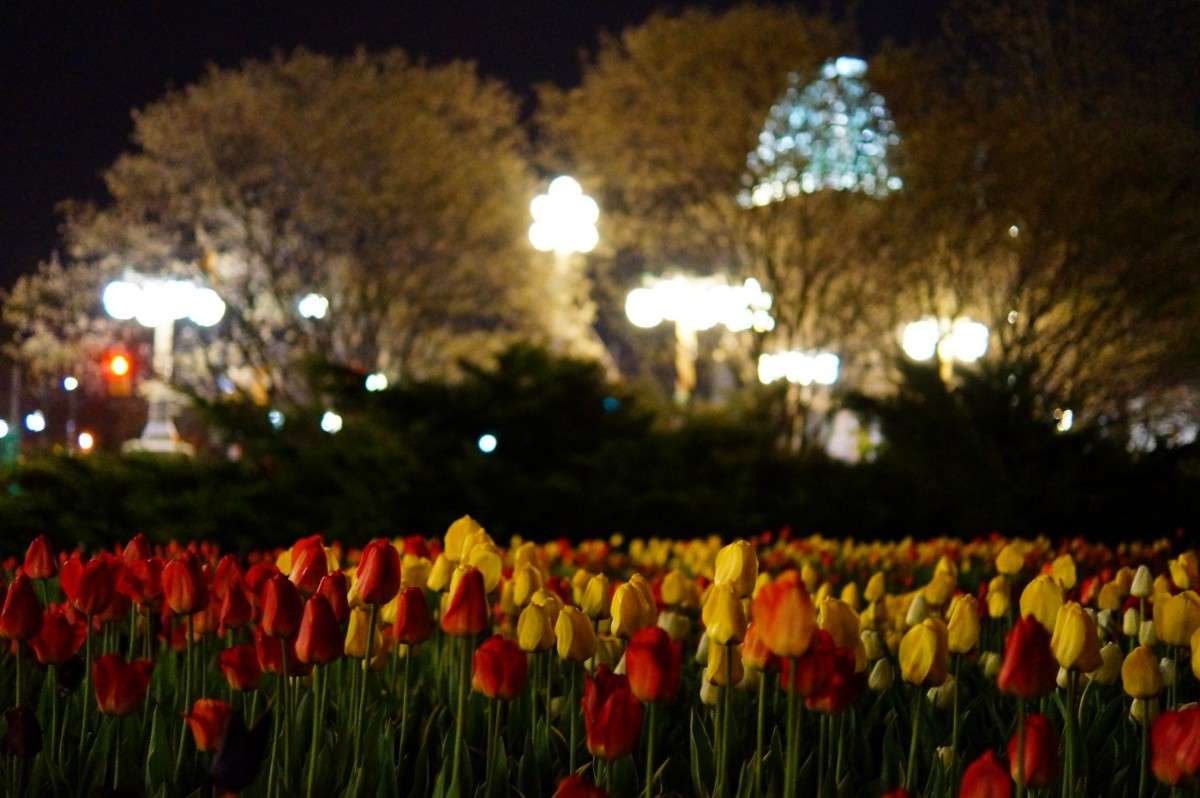 � ������ ����� �������  �� PhotoGeek.ru #�����