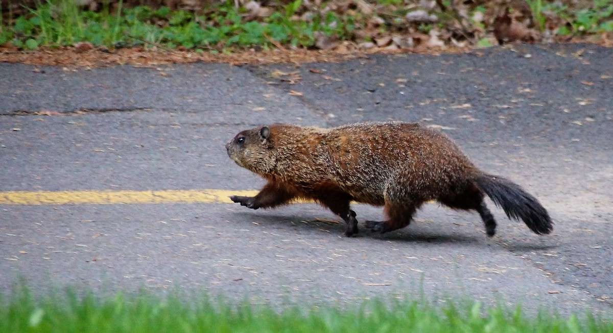 Ƹ���� ������ �������� ����� �������  �� PhotoGeek.ru #�������� ���