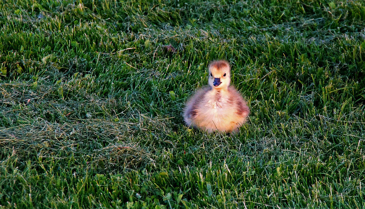 �������� ���� ����� �������  �� PhotoGeek.ru #�������� ���