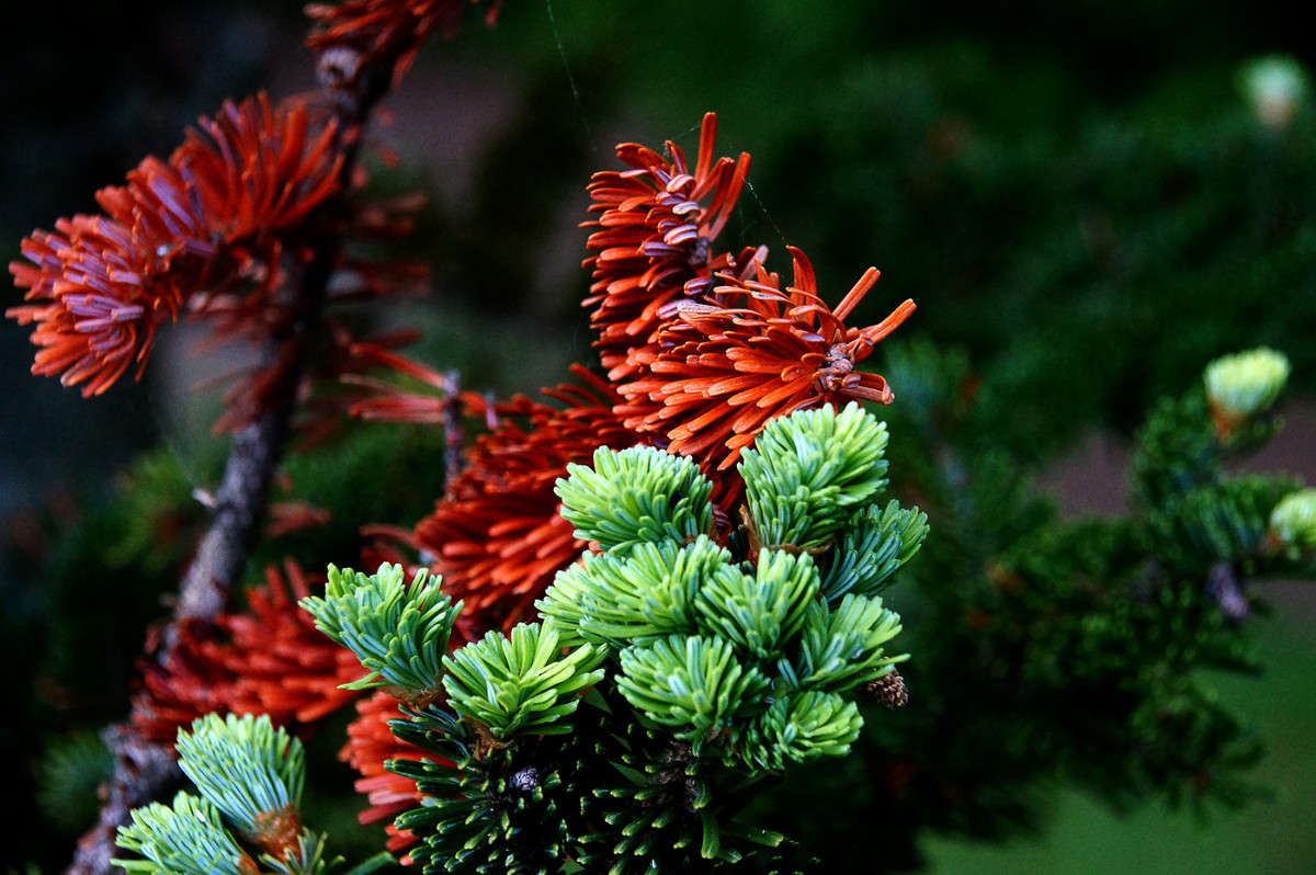 �� ���� � ����... ����� �������  �� PhotoGeek.ru #������ ��� �������