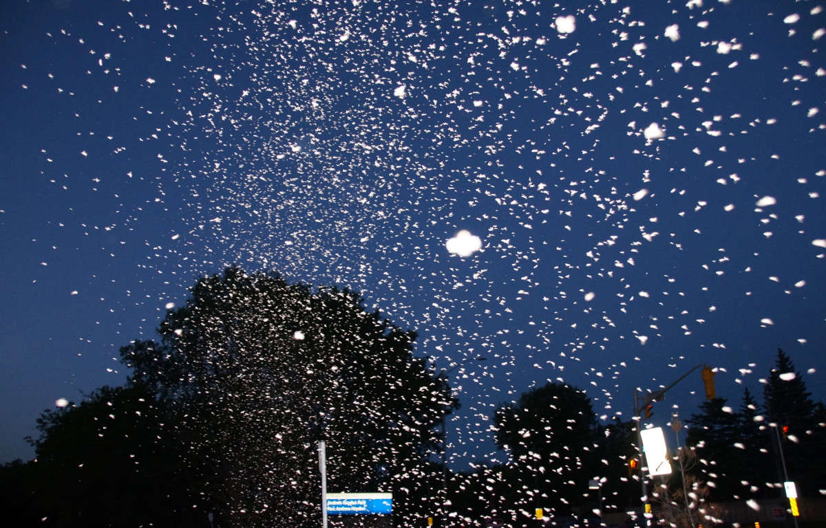 ������� �������� ����� �������  �� PhotoGeek.ru #�������� ���