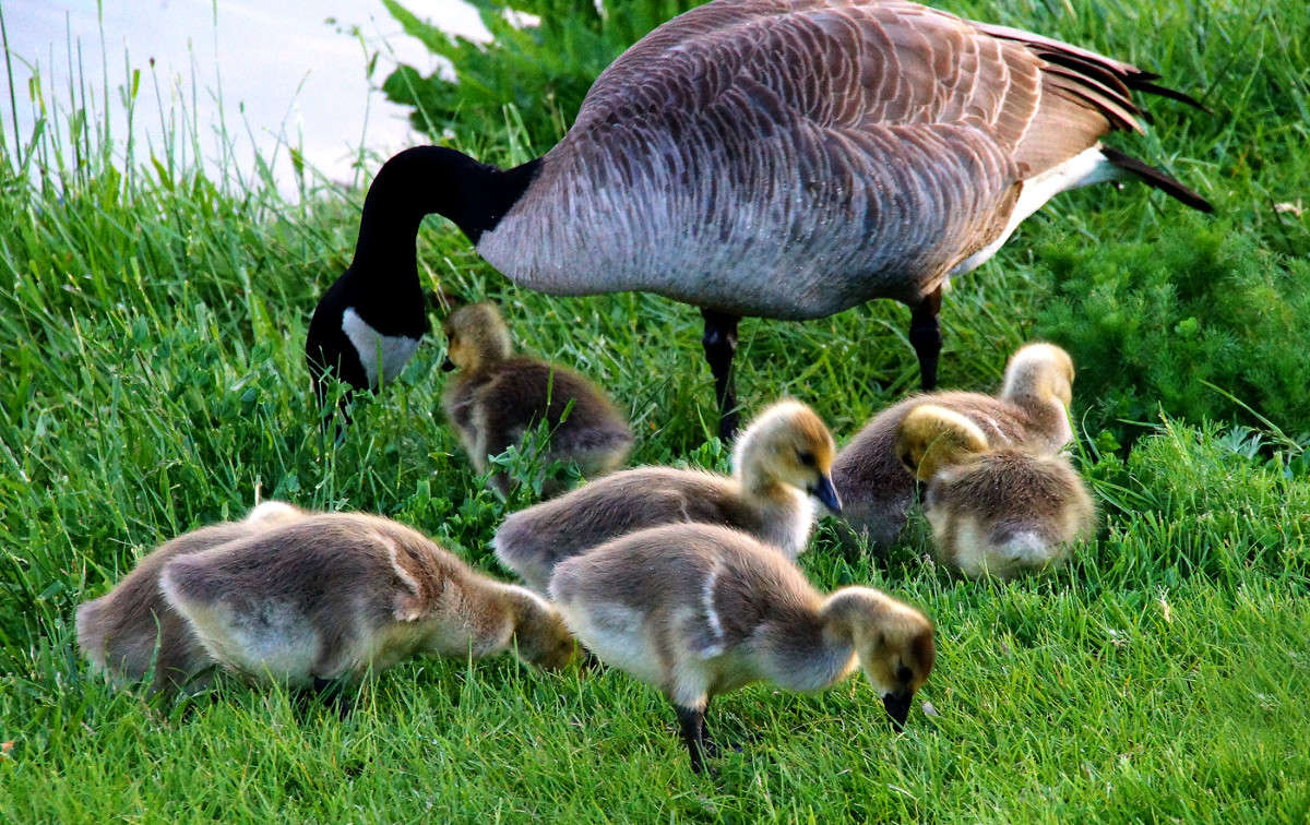 ������ ������� ���� ������ ����� �������  �� PhotoGeek.ru #�������� ���