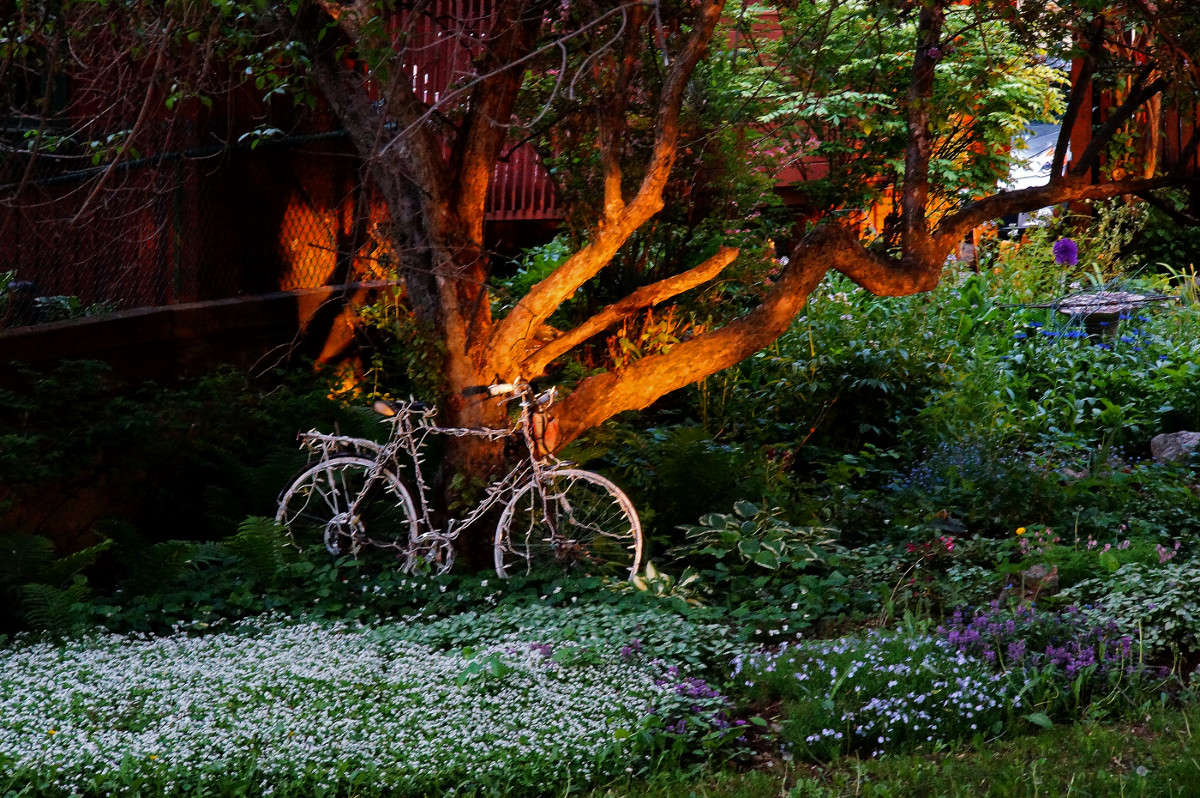 ���������� ������ ����� �������  �� PhotoGeek.ru #�����