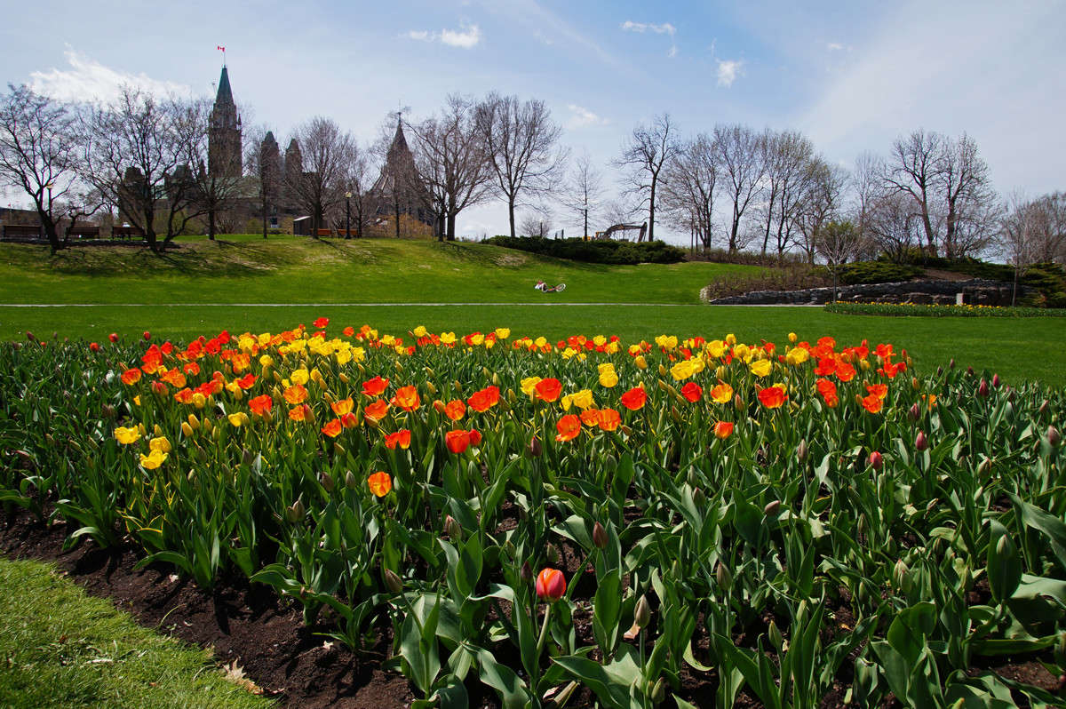 ����������� ���� ����� ����� �������  �� PhotoGeek.ru #�����