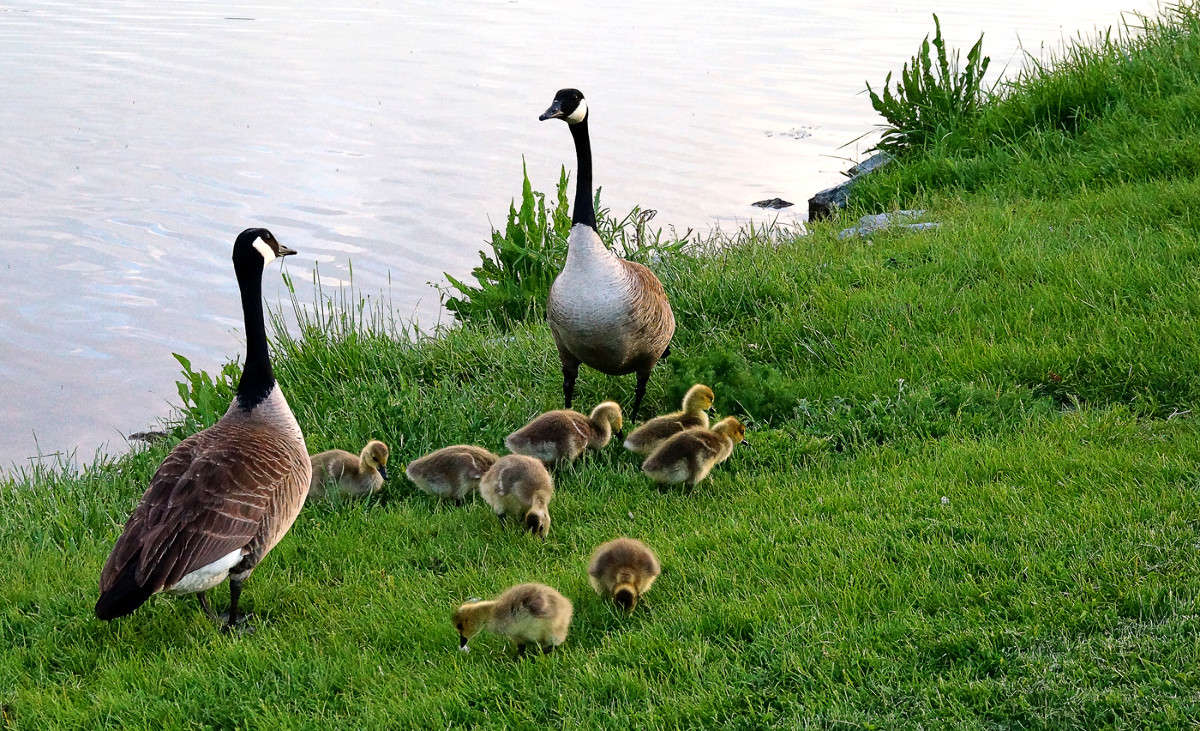 ��������� � ���������! ����� �������  �� PhotoGeek.ru #�������� ���