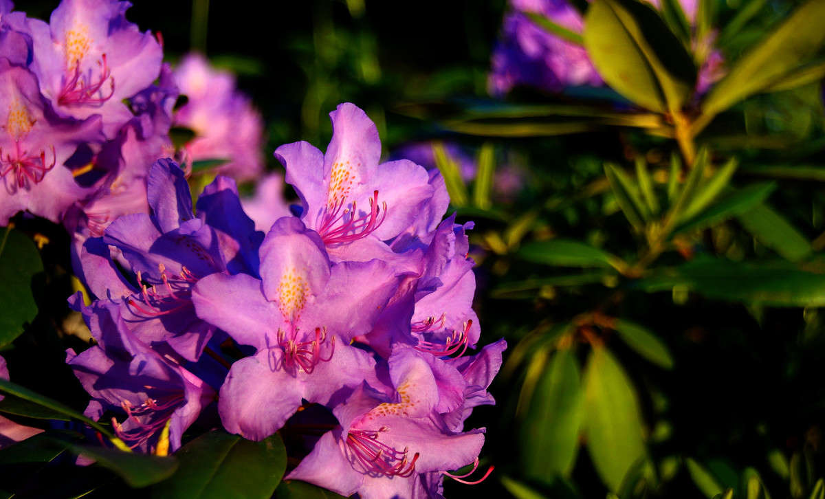 �������� ����� �������  �� PhotoGeek.ru #������ ��� �������