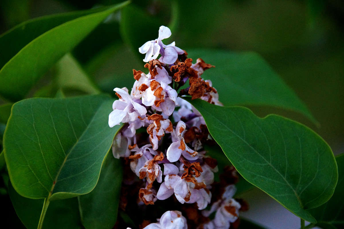 ���� �������� ����� �������  �� PhotoGeek.ru #������ ��� �������