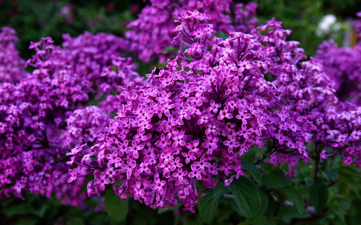 �� ��� � ������ ����� ����� �������  �� PhotoGeek.ru #������ ��� �������