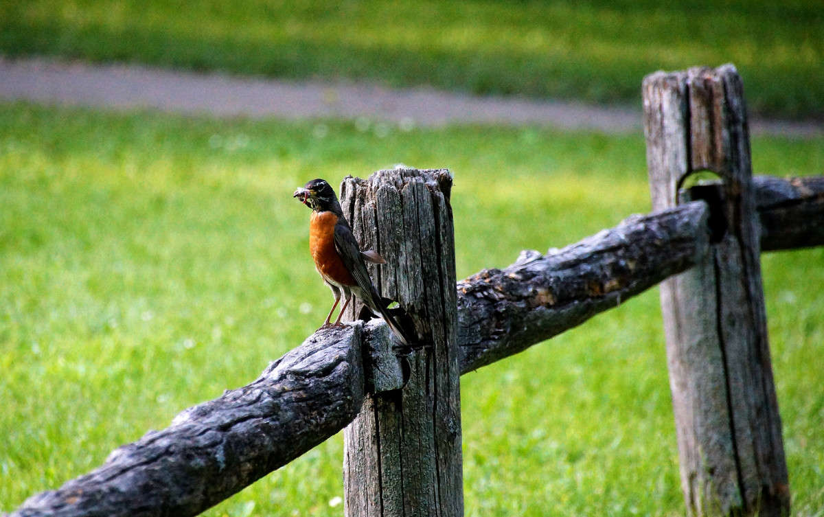 � ��� ���� �������� �����������? ����� �������  �� PhotoGeek.ru #�������� ���