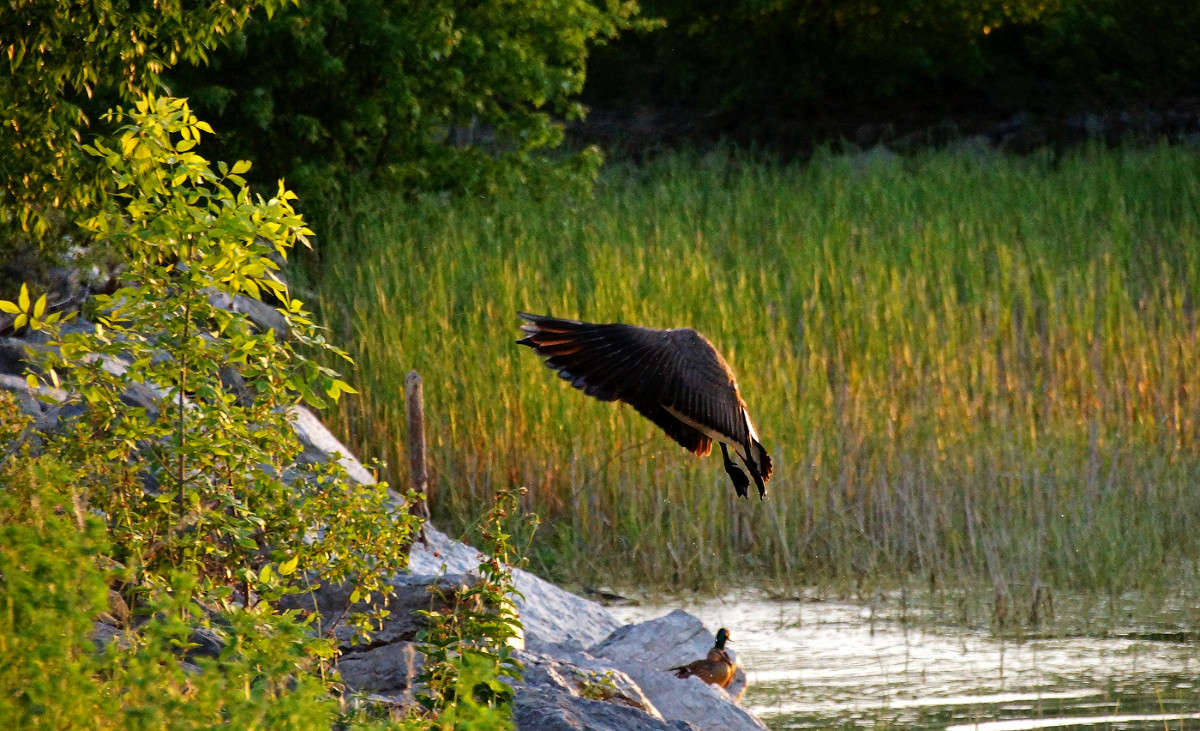 � ���� ��� ����� �����? ����� �������  �� PhotoGeek.ru #�������� ���