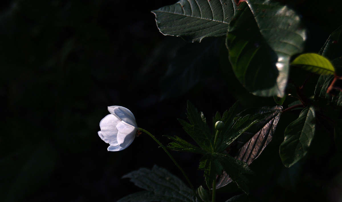 ���� � ���� ����� �������  �� PhotoGeek.ru #������ ��� �������