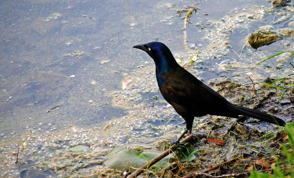 �������� ����������� ����� �������  �� PhotoGeek.ru #�������� ���