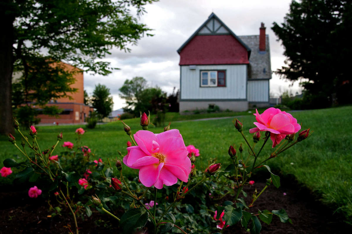 ������ ����� ������... ����� �������  �� PhotoGeek.ru #�����