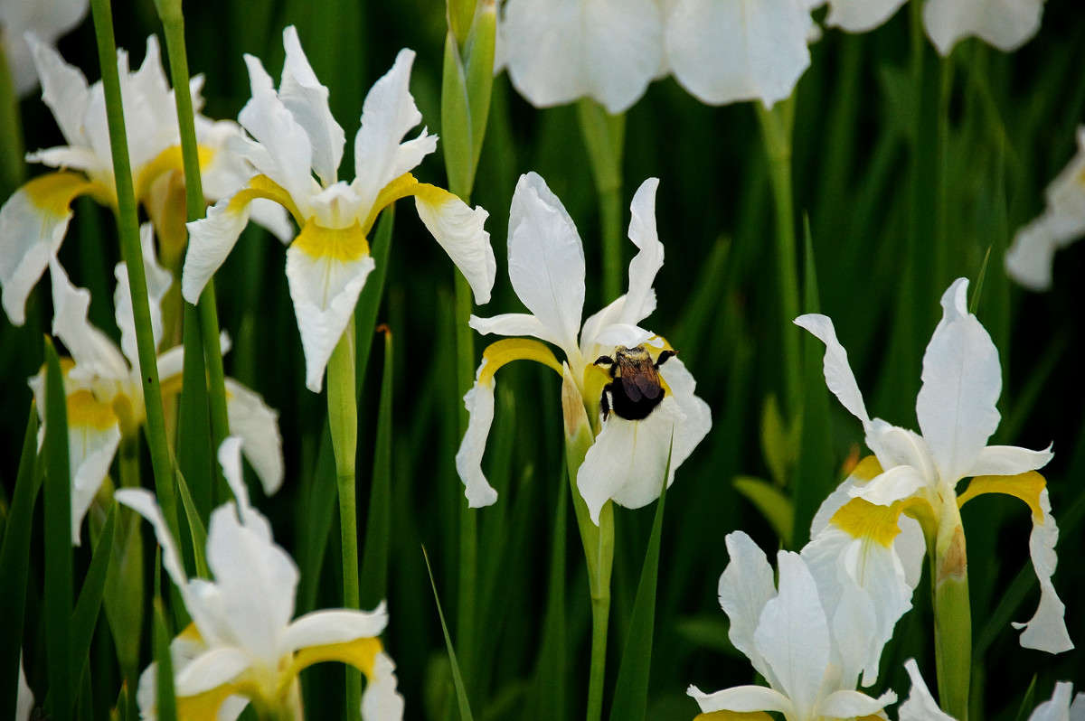 ����� ����������� ����� �������  �� PhotoGeek.ru #������ ��� �������