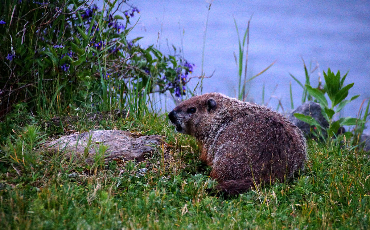 ���� � ����, ���� � ���� ����� �������  �� PhotoGeek.ru #�������� ���