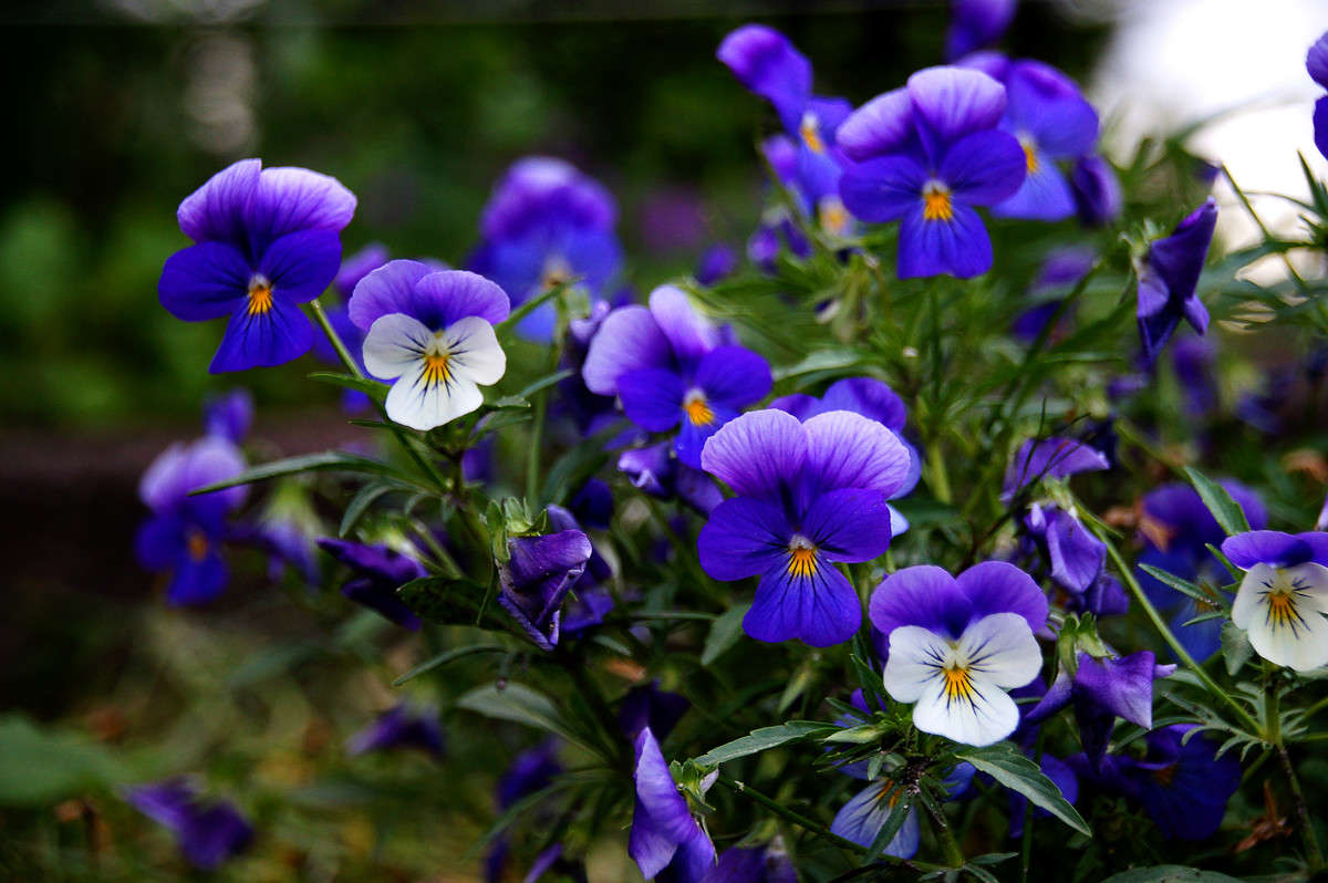 ������ ��� ����� �������  �� PhotoGeek.ru #������ ��� �������