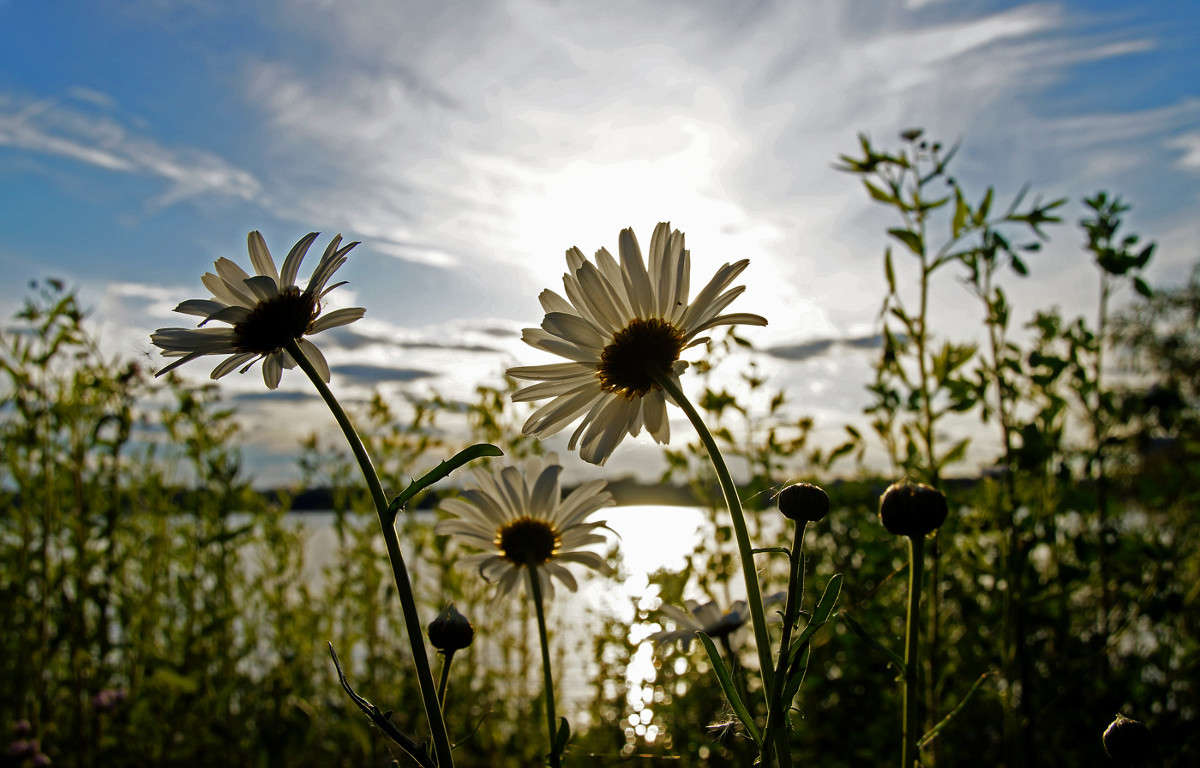 ����� ������ ����� �������  �� PhotoGeek.ru #������ ��� �������