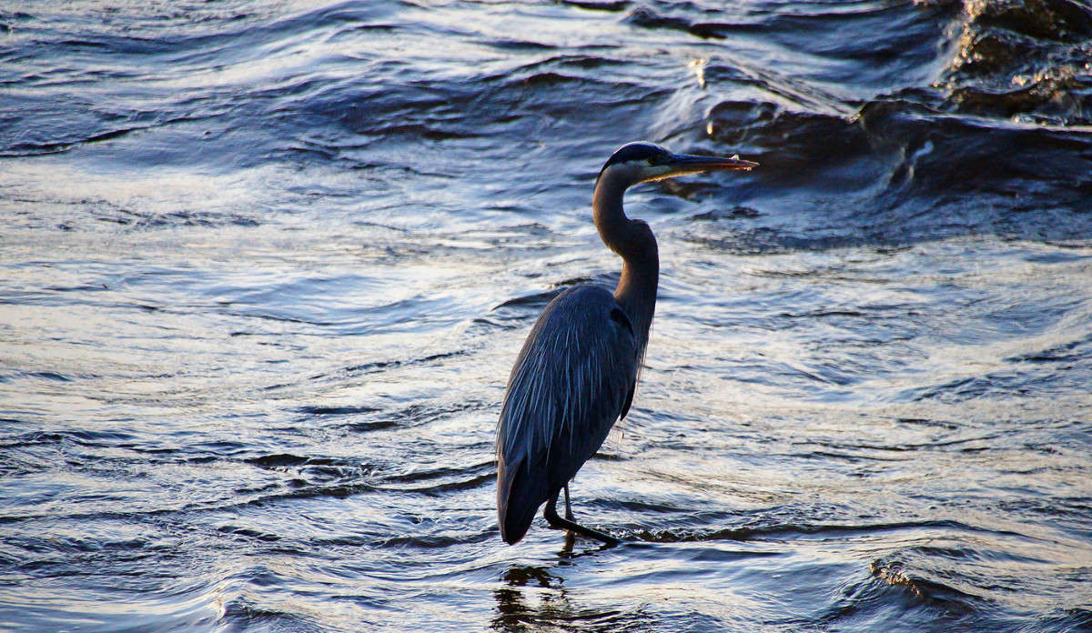 ���������� ����� �������  �� PhotoGeek.ru #�������� ���