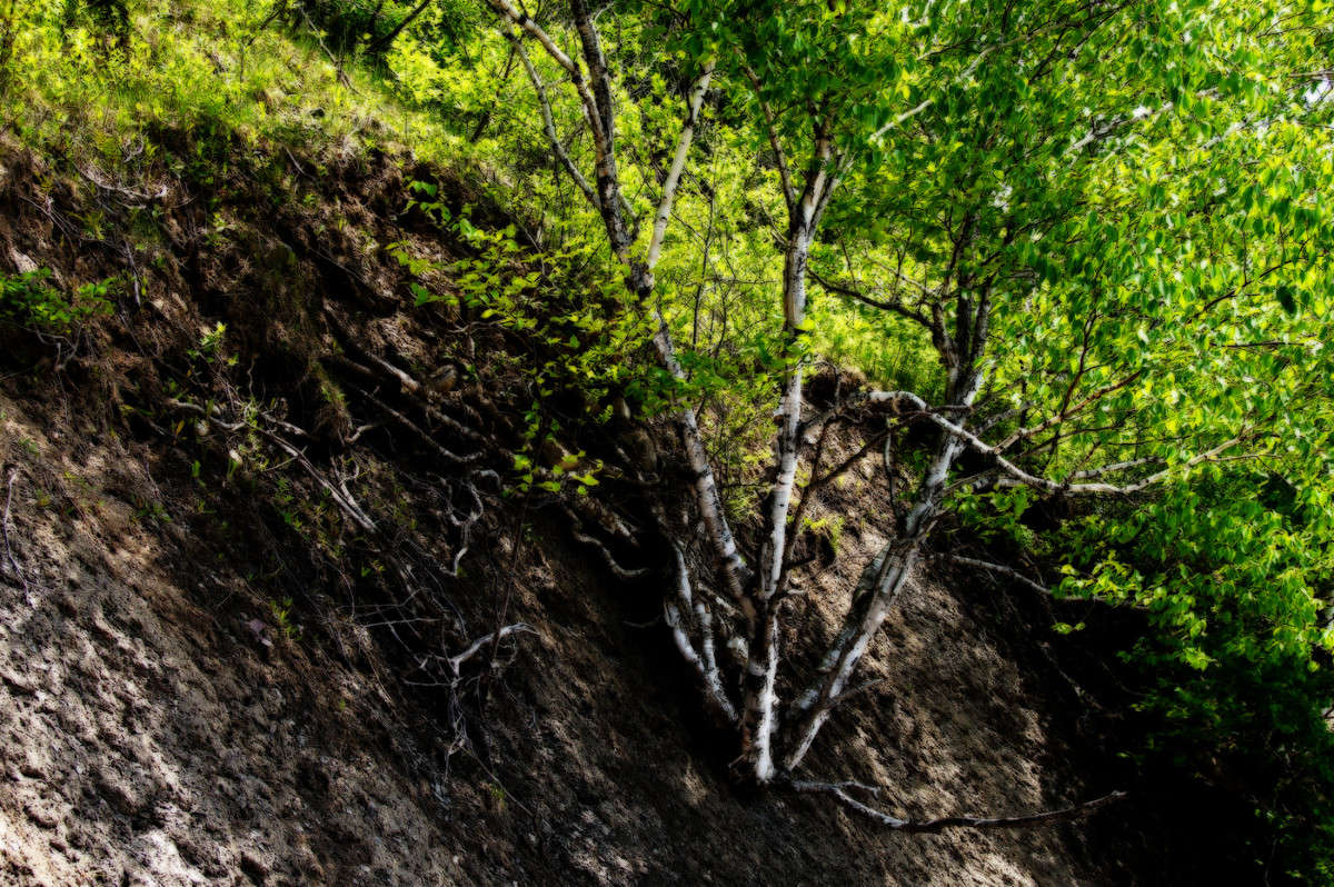 ������� �������� ����� �������  �� PhotoGeek.ru #������ ��� �������