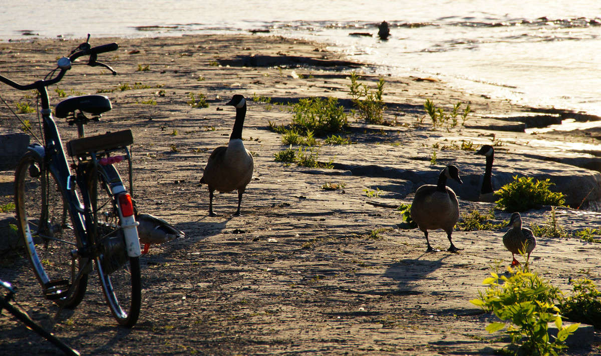 �� �����, ������ ���� �������� ���� ��������� ����� �������  �� PhotoGeek.ru #�������� ���