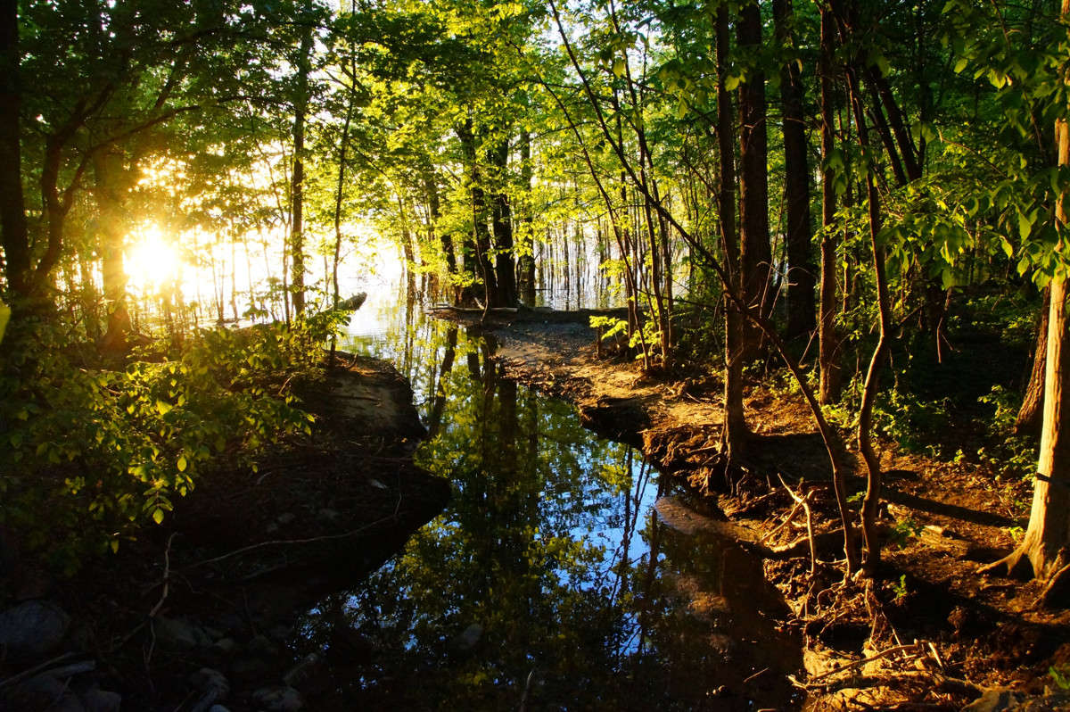 �������� ������� ���� ����� �������  �� PhotoGeek.ru #������ ��� �������