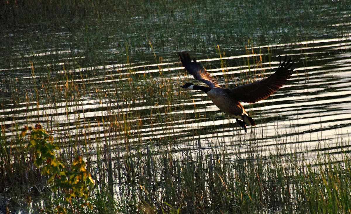 ���� ������ ������ ����� �������  �� PhotoGeek.ru #�������� ���