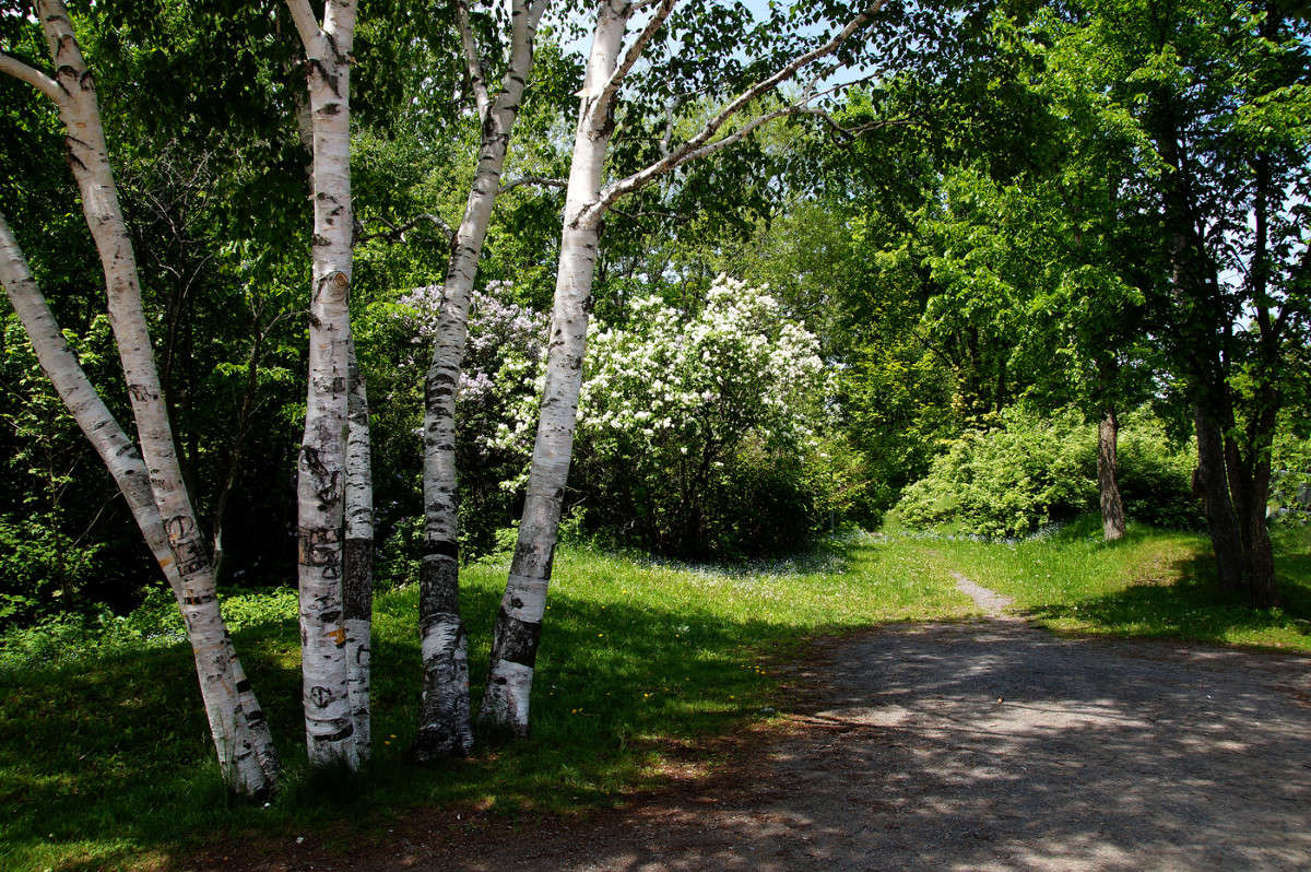 ���� �������������� ����� �������  �� PhotoGeek.ru #������ ��� �������