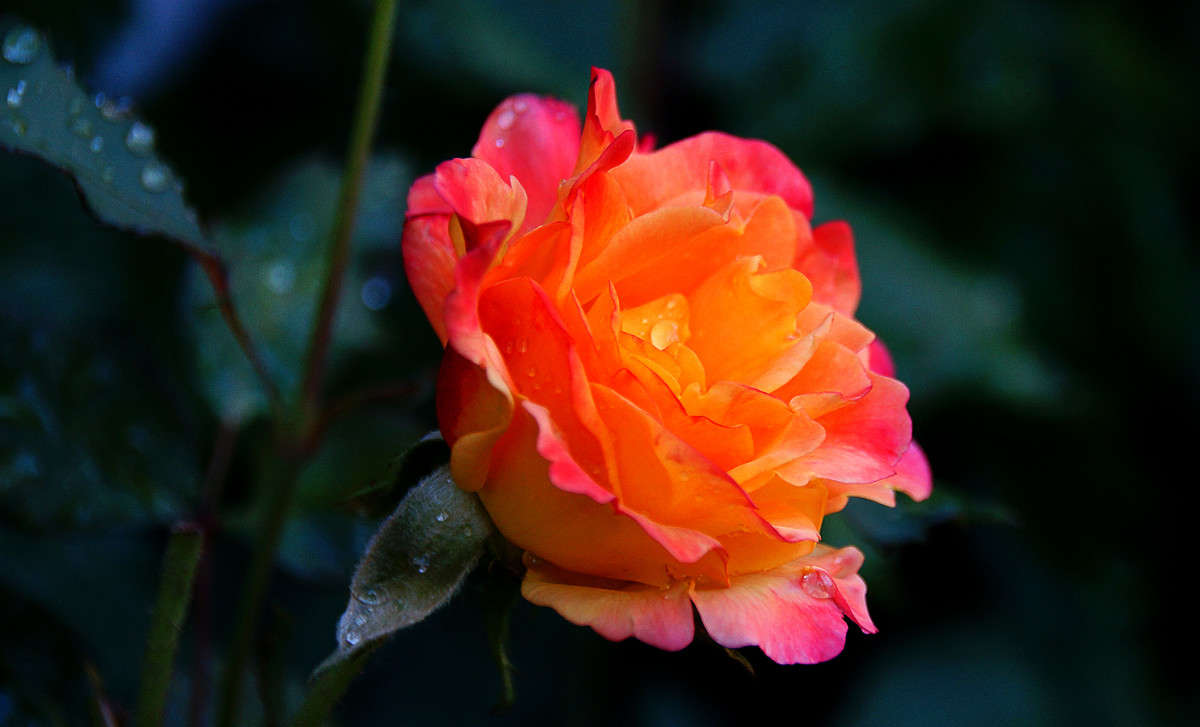 ���� ����� �������  �� PhotoGeek.ru #������ ��� �������