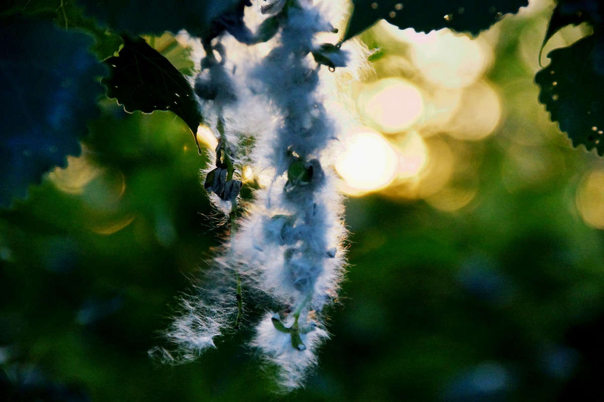 � ���� � ���� ����� �������  �� PhotoGeek.ru #������ ��� �������