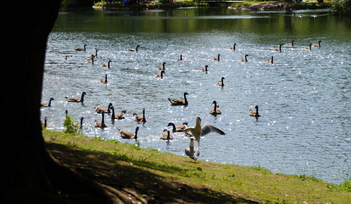 ������ �� ���� ����� �������  �� PhotoGeek.ru #�������� ���