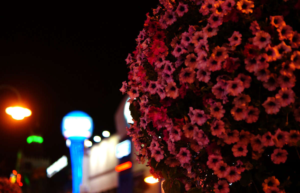 ������� ������ ����� �������  �� PhotoGeek.ru #�����