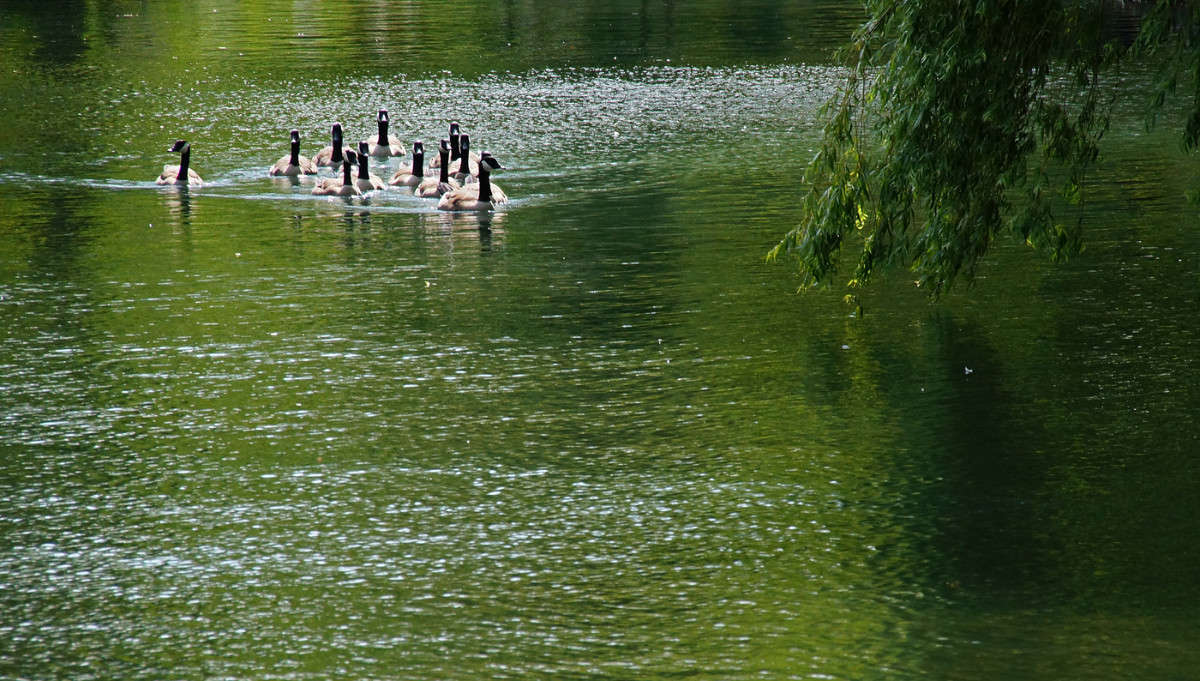 ������� ����� �������  �� PhotoGeek.ru #�������� ���