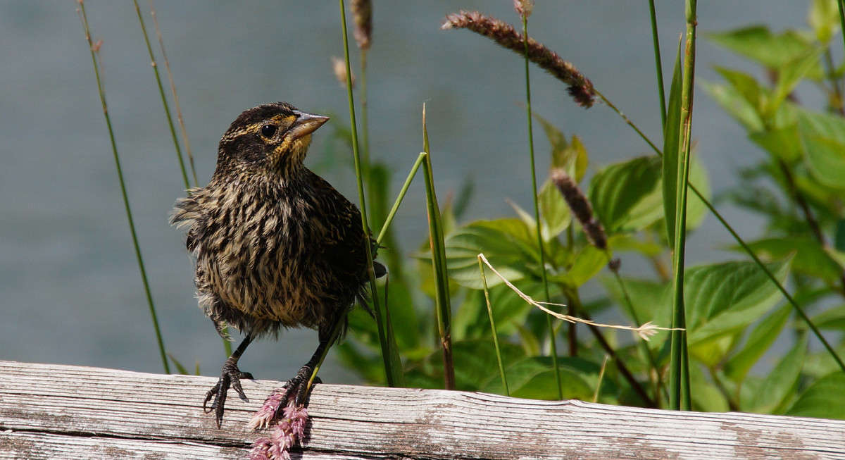 ������� ����� �������  �� PhotoGeek.ru #�������� ���