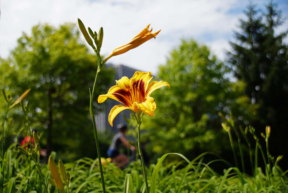 ������� �������� ����� �������  �� PhotoGeek.ru #�����