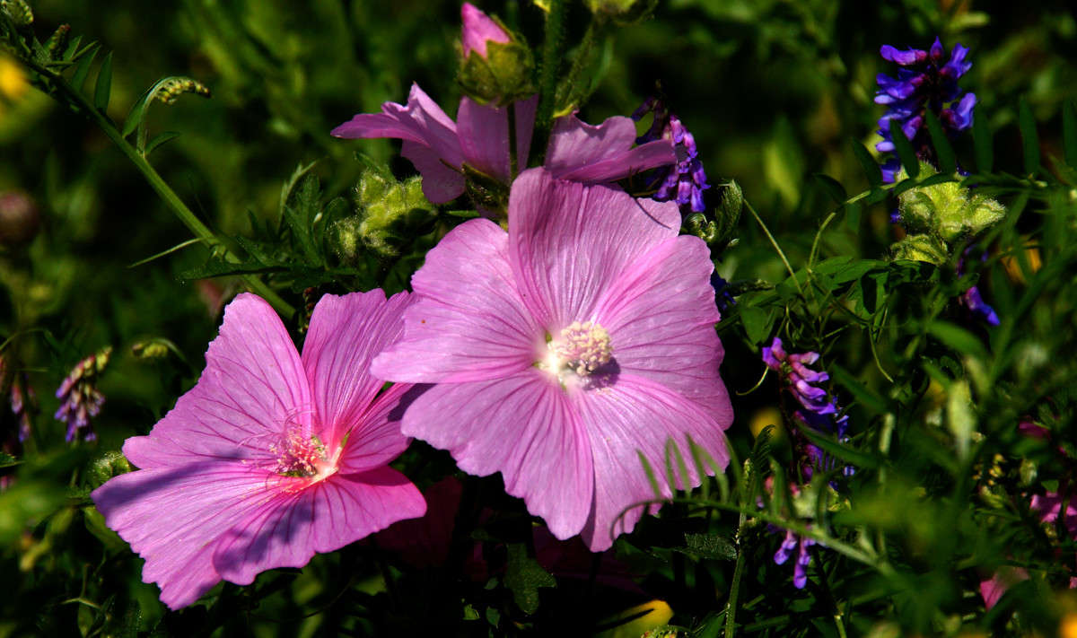 ������, ������� ����� �������  �� PhotoGeek.ru #������ ��� �������