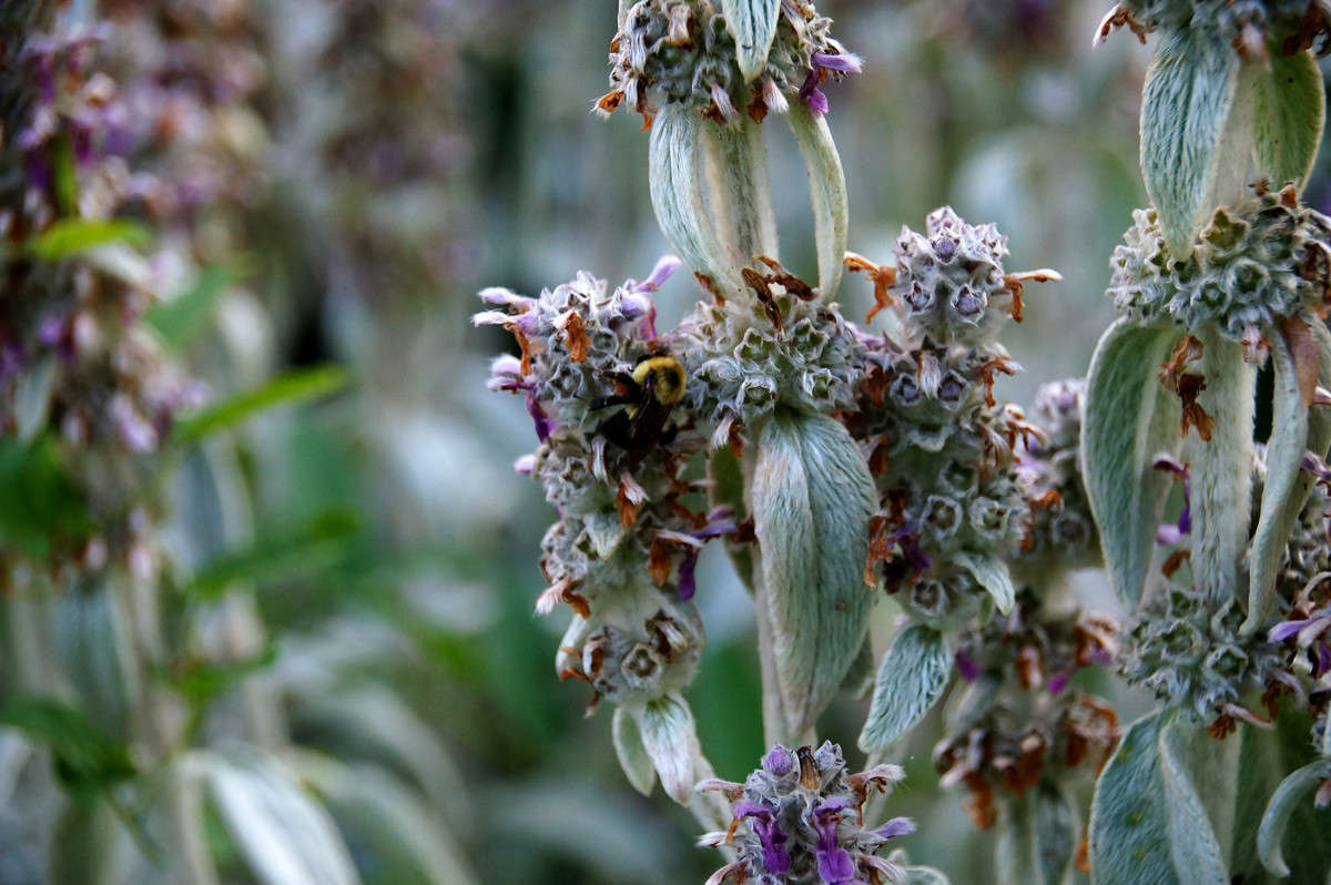 �������� ����������� ����� �������  �� PhotoGeek.ru #������ ��� �������