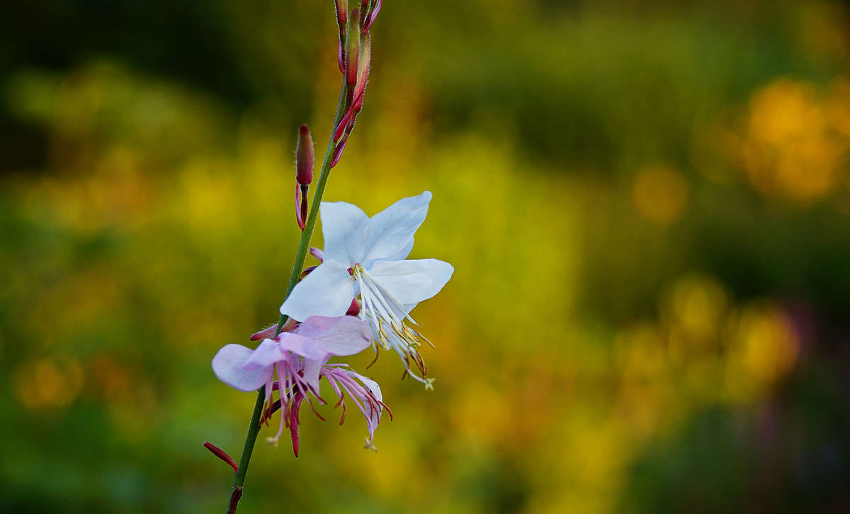 �������� ����� �������  �� PhotoGeek.ru #������ ��� �������
