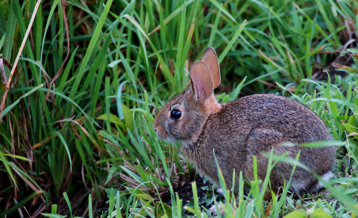 ������� ���� ����� �������  �� PhotoGeek.ru #�������� ���