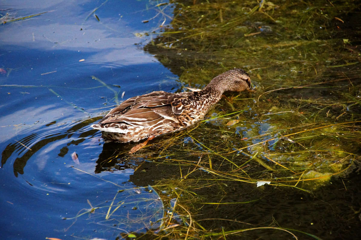 � ���� ��������� ����� �������  �� PhotoGeek.ru #�������� ���